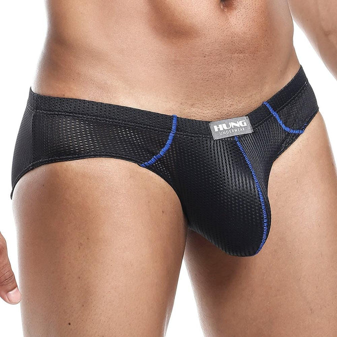 Hung HGJ008 Brief