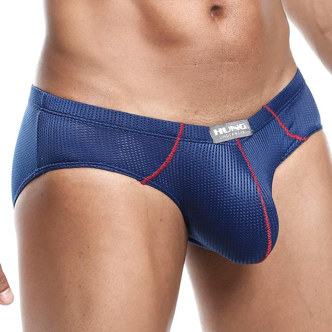 Hung HGJ008 Brief
