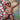 Hung HGJ014 Brief