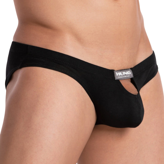 Hung HGJ017 Brief