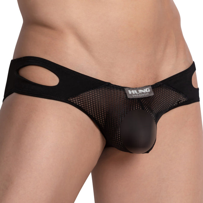 Hung HGJ021 Brief