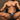 Intymen INJ072 Brief