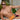 Kyle KLI027 Bikini Brief
