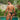 Kyle KLI042 Bikini Brief