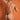 Kyle KLK021 Thong