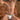 Pistol Pete PPK004 Thong