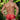 Secret Male SMI039 Bikini Brief