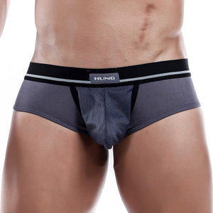 Hung HGJ002 Brief