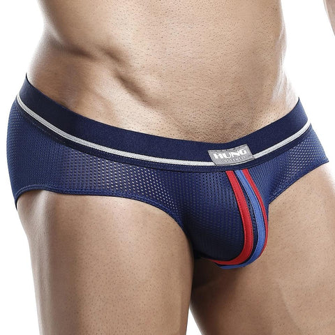 Hung HGJ007 Brief